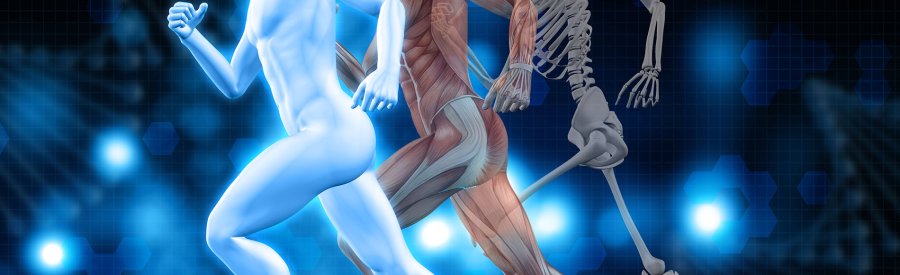 Тілоохоронці